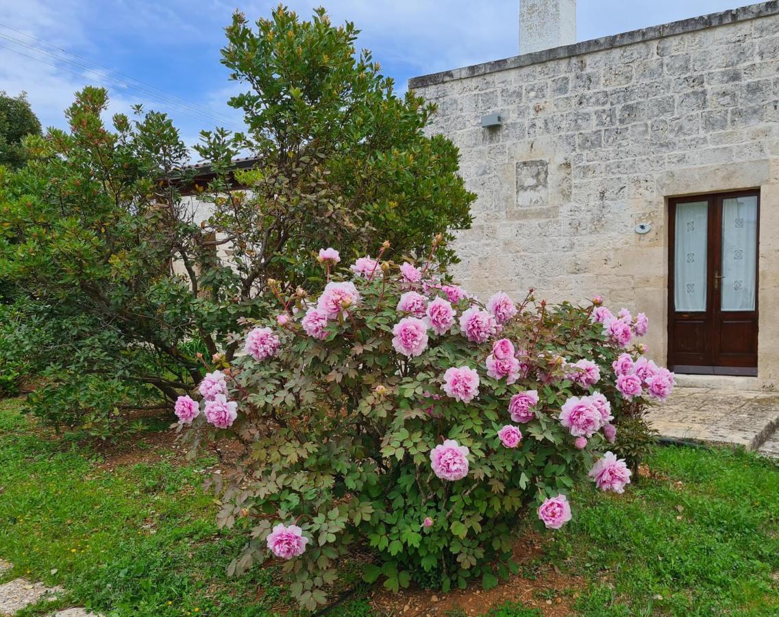 Masseria Montecchie Apartamento Ceglie Messapica Exterior foto