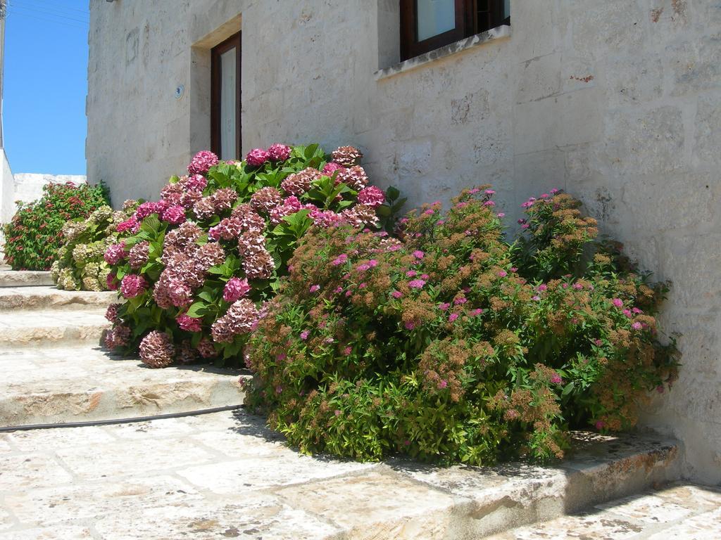 Masseria Montecchie Apartamento Ceglie Messapica Exterior foto