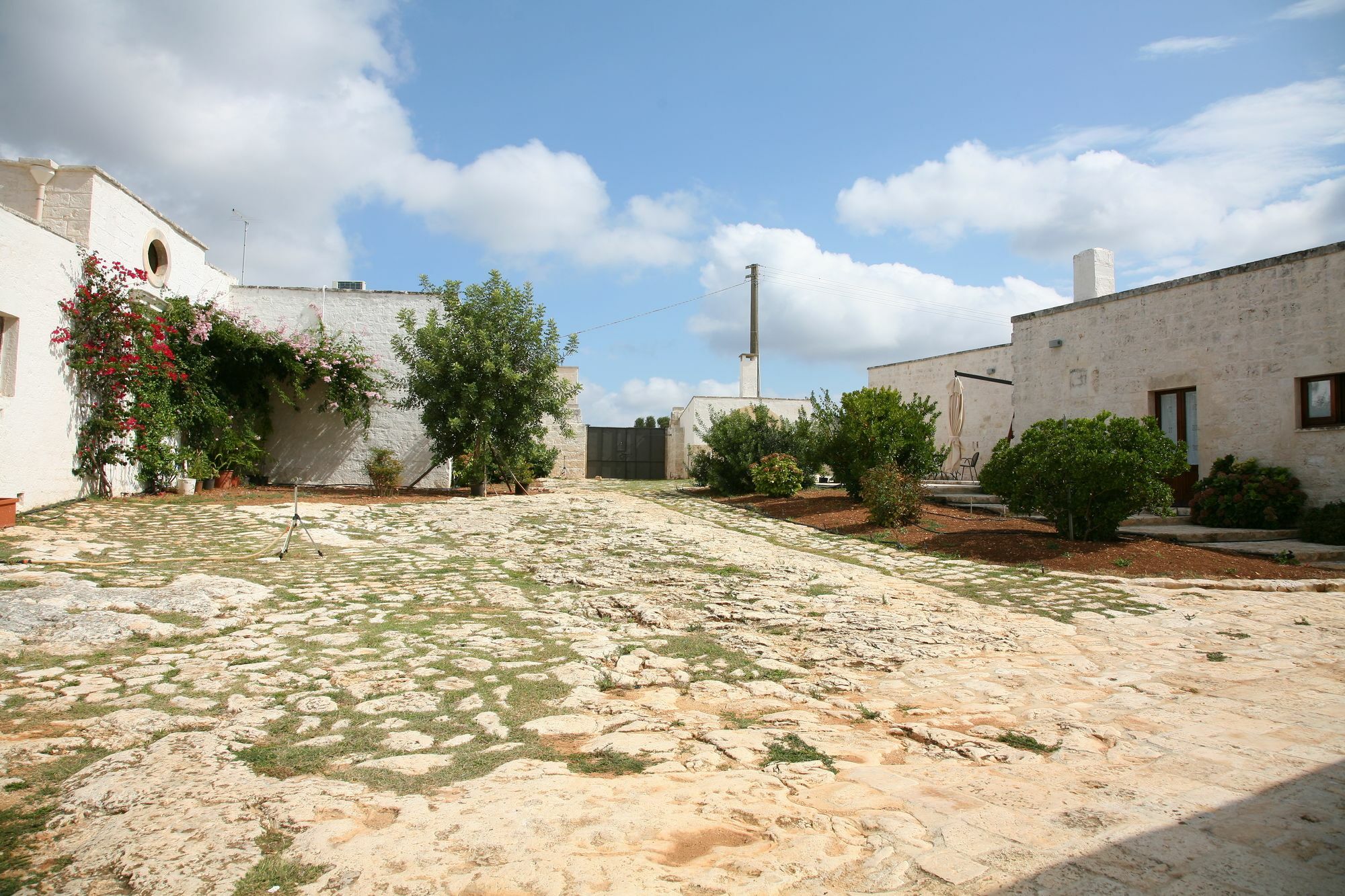 Masseria Montecchie Apartamento Ceglie Messapica Exterior foto